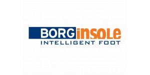 BORGINSOLE LOGO